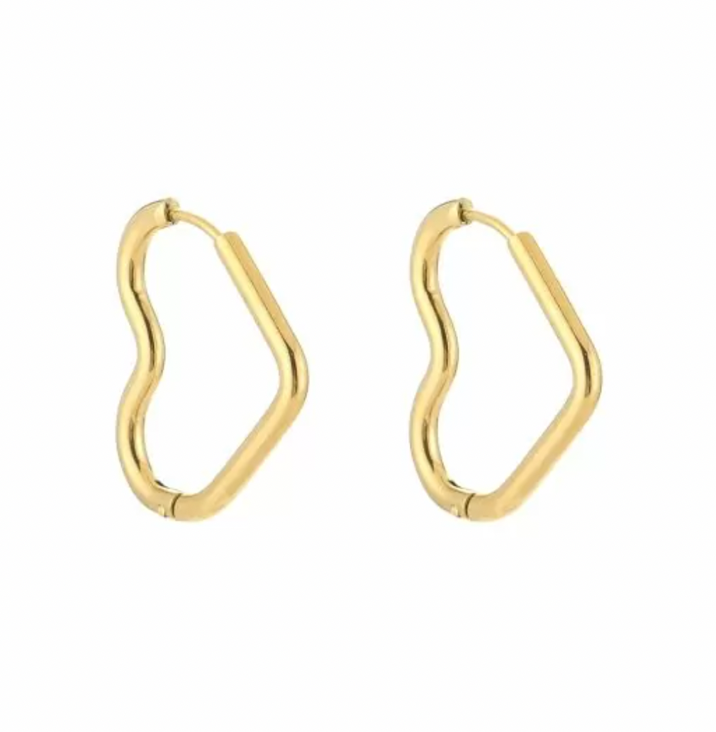Oorbellen | Rose
