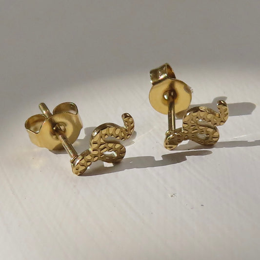 Oorbellen | Snake