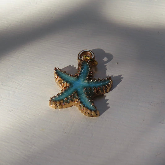 Bedel | emaille zeester 18x15 mm