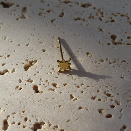 Oorbellen | Stud - star