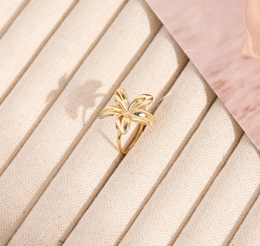 Ring | Polly